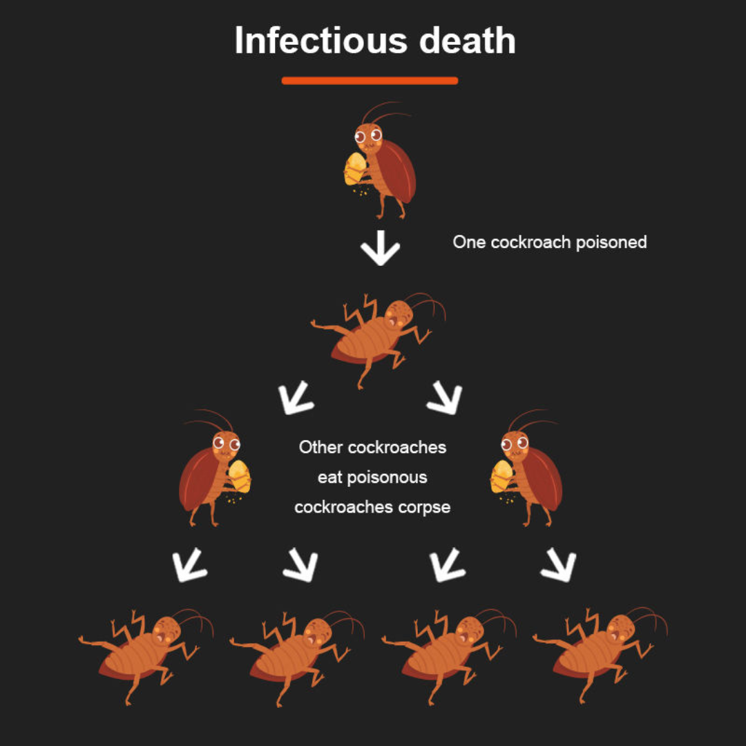 Roach Protection Pro™