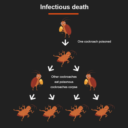 Roach Protection Pro™